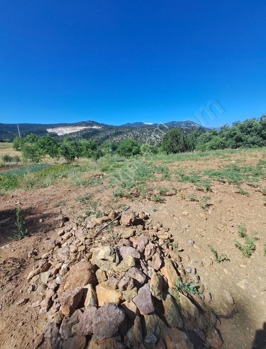 Konya Beyşehir Üzümlü De Usanmaz Emlaktan Satılık Bağ Yeri - Görsel 31