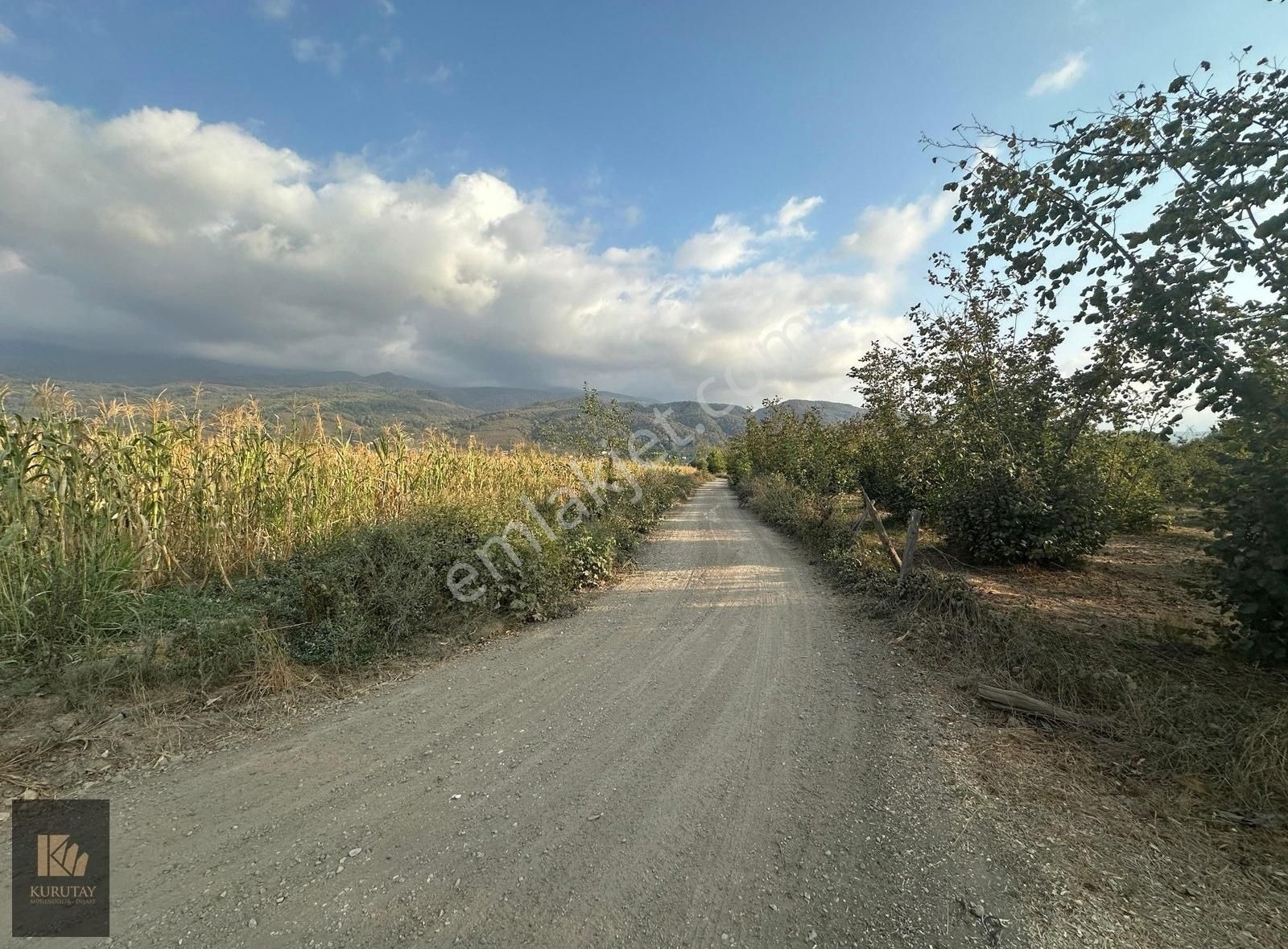 Kurutay Gayrimenkulden Altındere Cumhuriyet Mah. Satılık Tarla - Görsel 2