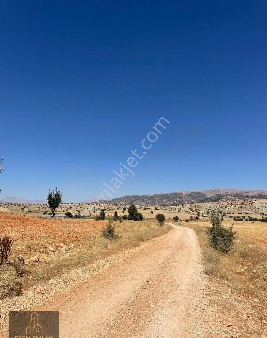 Antalya Elmalı Geçmen Mahallesinde Mahalle Asfaltına Sıfır 17.600m² Kırmızı Toprak Tarla Satılıktır - Görsel 12