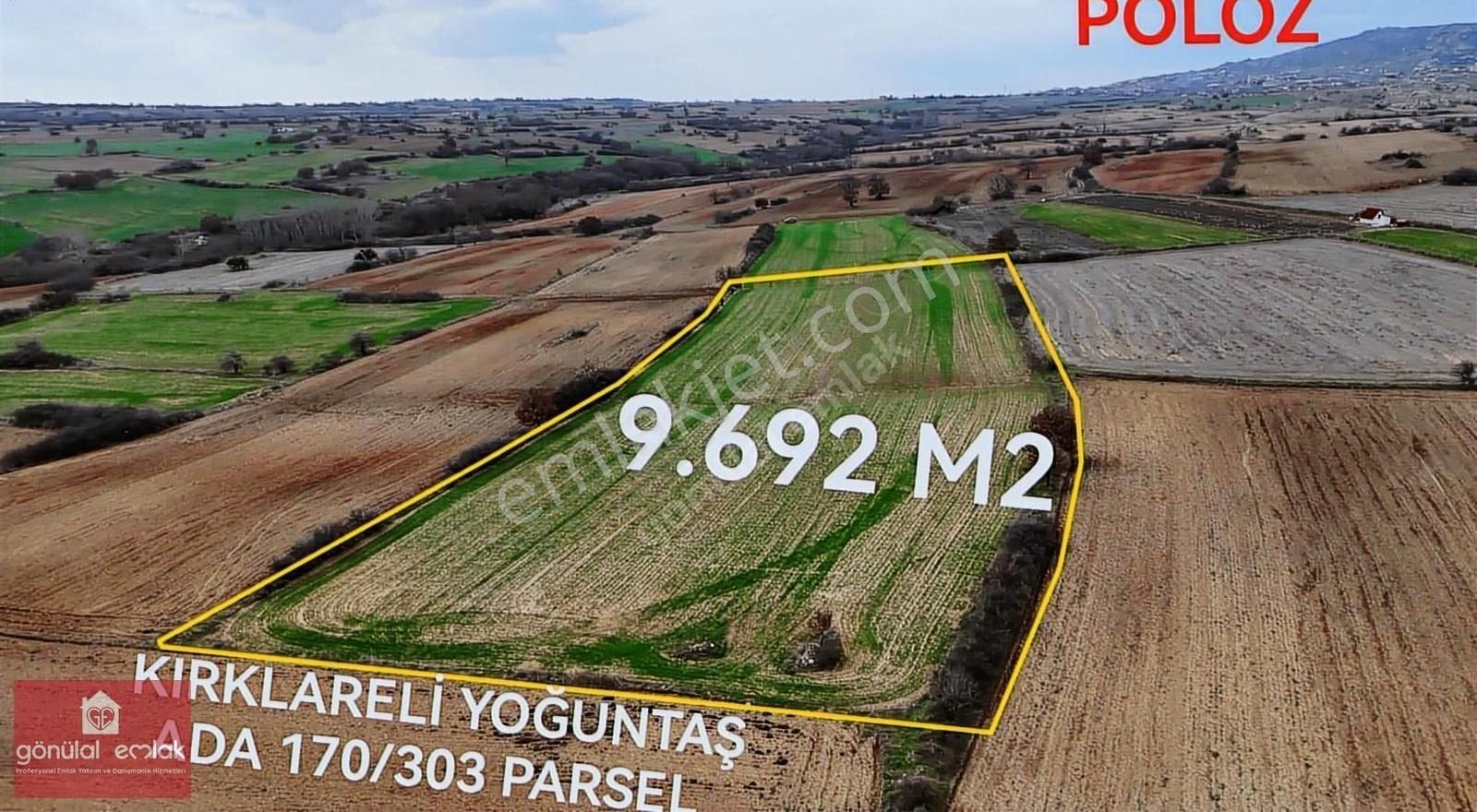 Kırklareli Yoğuntaş Köye Yakın Tarımsal İşletme İçin 9.692 M2 - Görsel 22