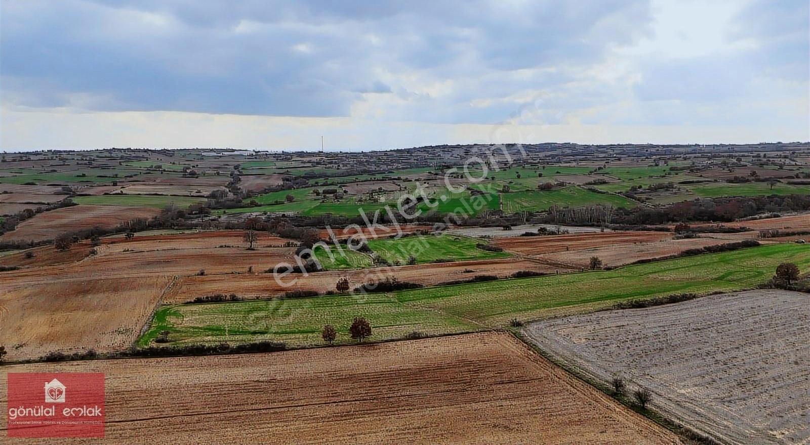 Kırklareli Yoğuntaş Köye Yakın Tarımsal İşletme İçin 9.692 M2 - Görsel 13