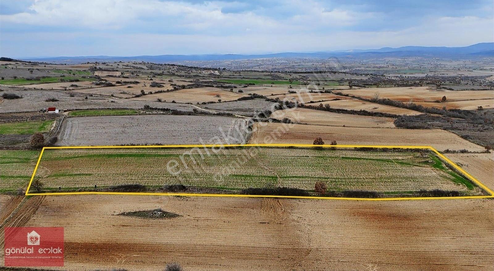 Kırklareli Yoğuntaş Köye Yakın Tarımsal İşletme İçin 9.692 M2 - Görsel 16