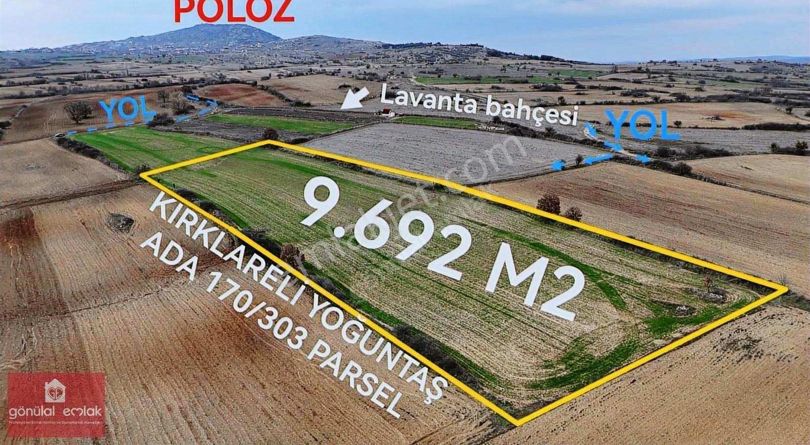 Kırklareli Yoğuntaş Köye Yakın Tarımsal İşletme İçin 9.692 M2 - Görsel 5