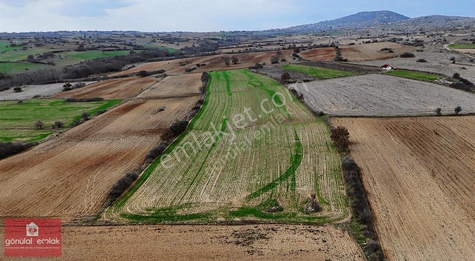 Kırklareli Yoğuntaş Köye Yakın Tarımsal İşletme İçin 9.692 M2 - Görsel 6