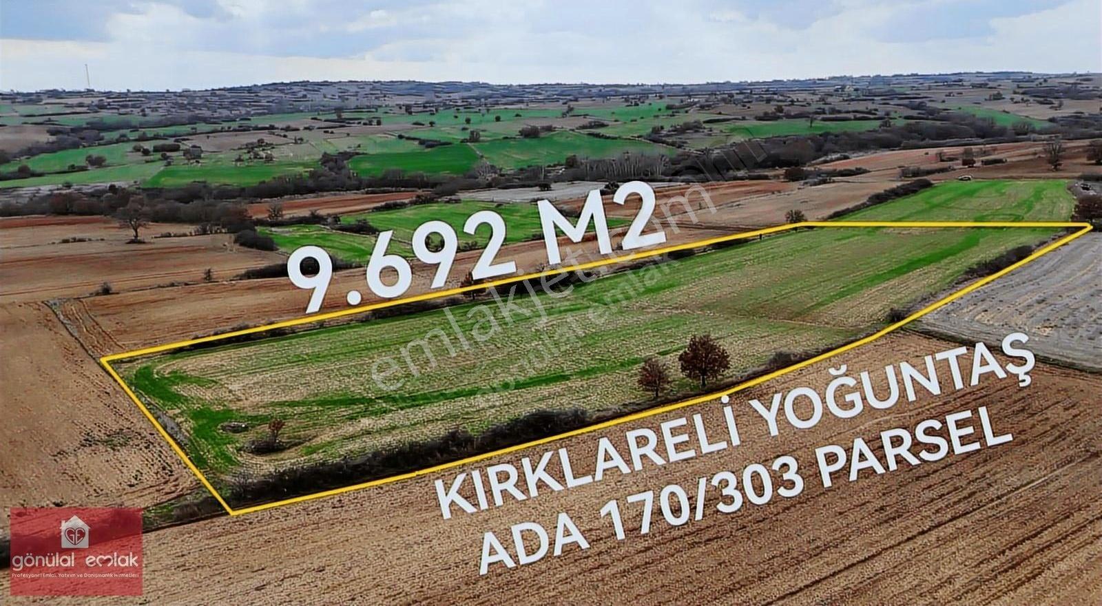 Kırklareli Yoğuntaş Köye Yakın Tarımsal İşletme İçin 9.692 M2 - Görsel 11