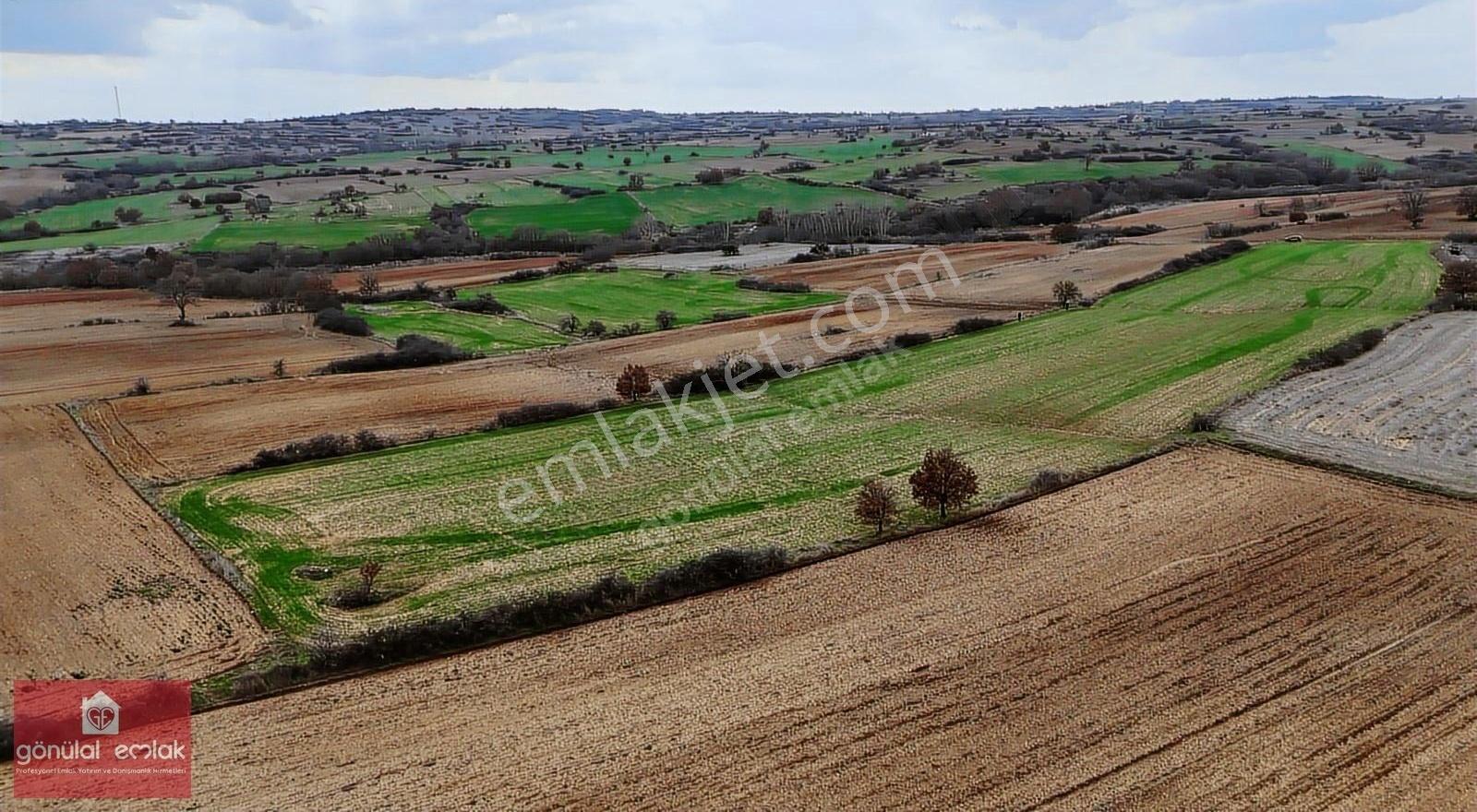 Kırklareli Yoğuntaş Köye Yakın Tarımsal İşletme İçin 9.692 M2 - Görsel 4