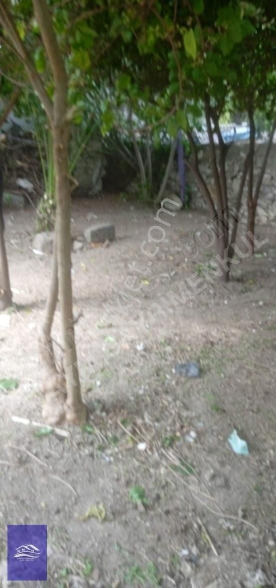 Bodrum Marinada Satılık Taş Ev - Görsel 18