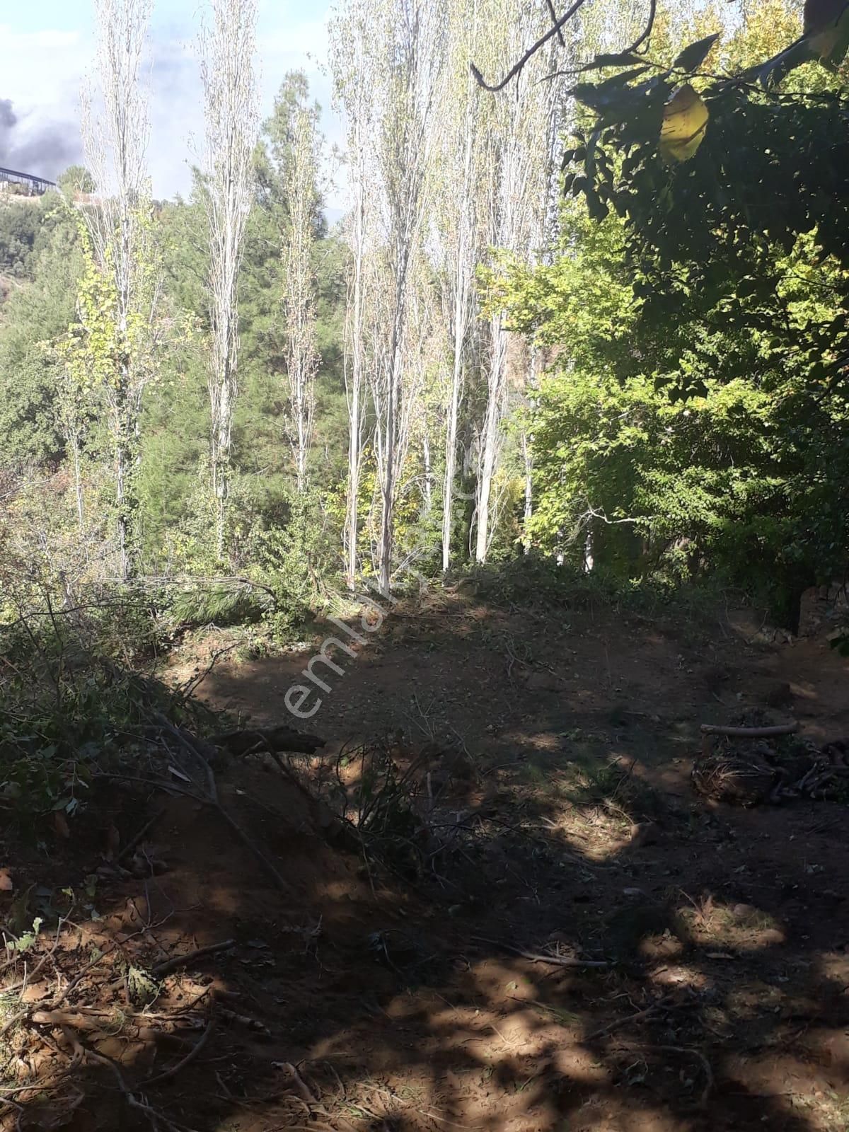 Karacasu Yaylası Kargir Evli Elma Bahçesi 865 M2 - Görsel 7