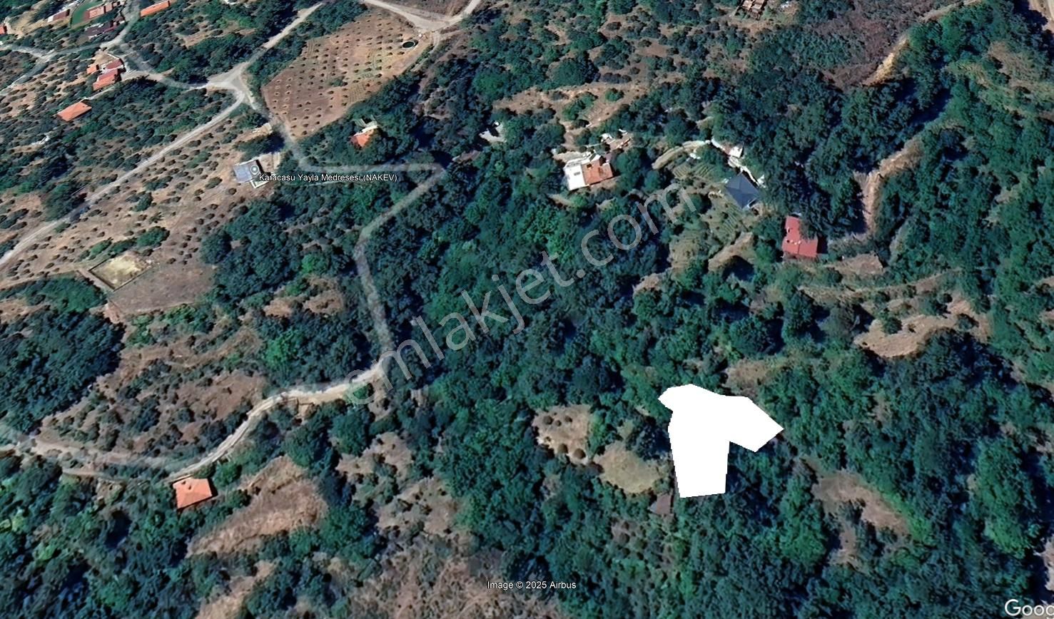 Karacasu Yaylası Kargir Evli Elma Bahçesi 865 M2 - Görsel 2