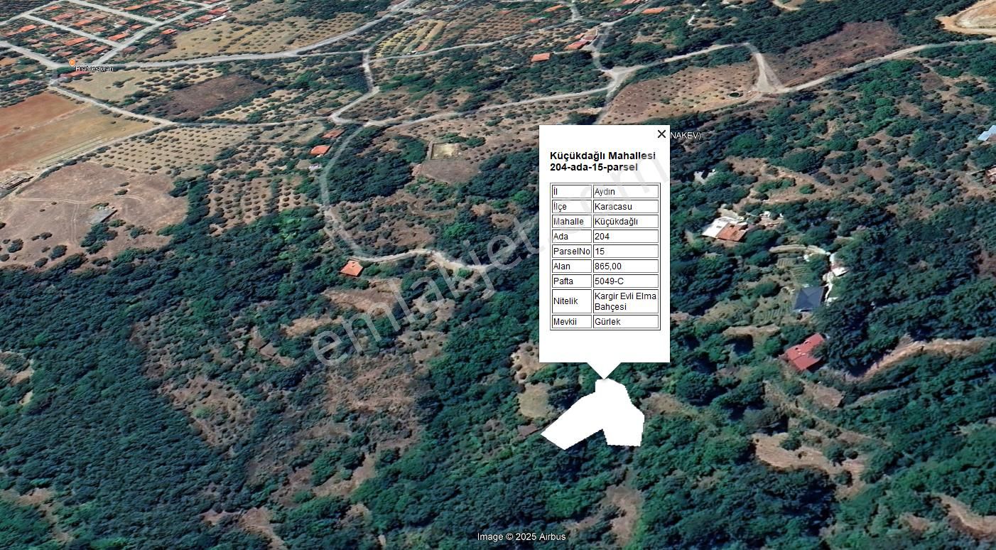 Karacasu Yaylası Kargir Evli Elma Bahçesi 865 M2 - Görsel 16