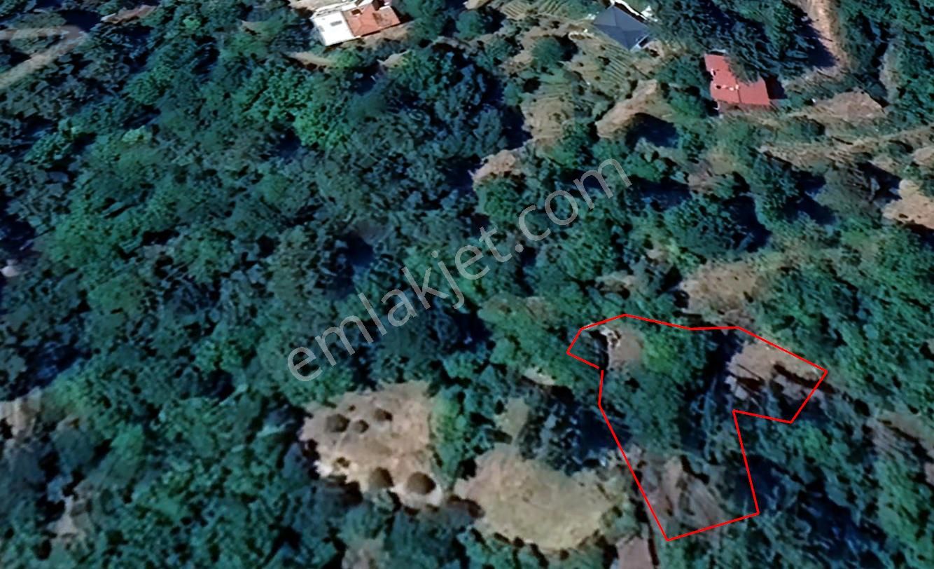 Karacasu Yaylası Kargir Evli Elma Bahçesi 865 M2 - Görsel 9