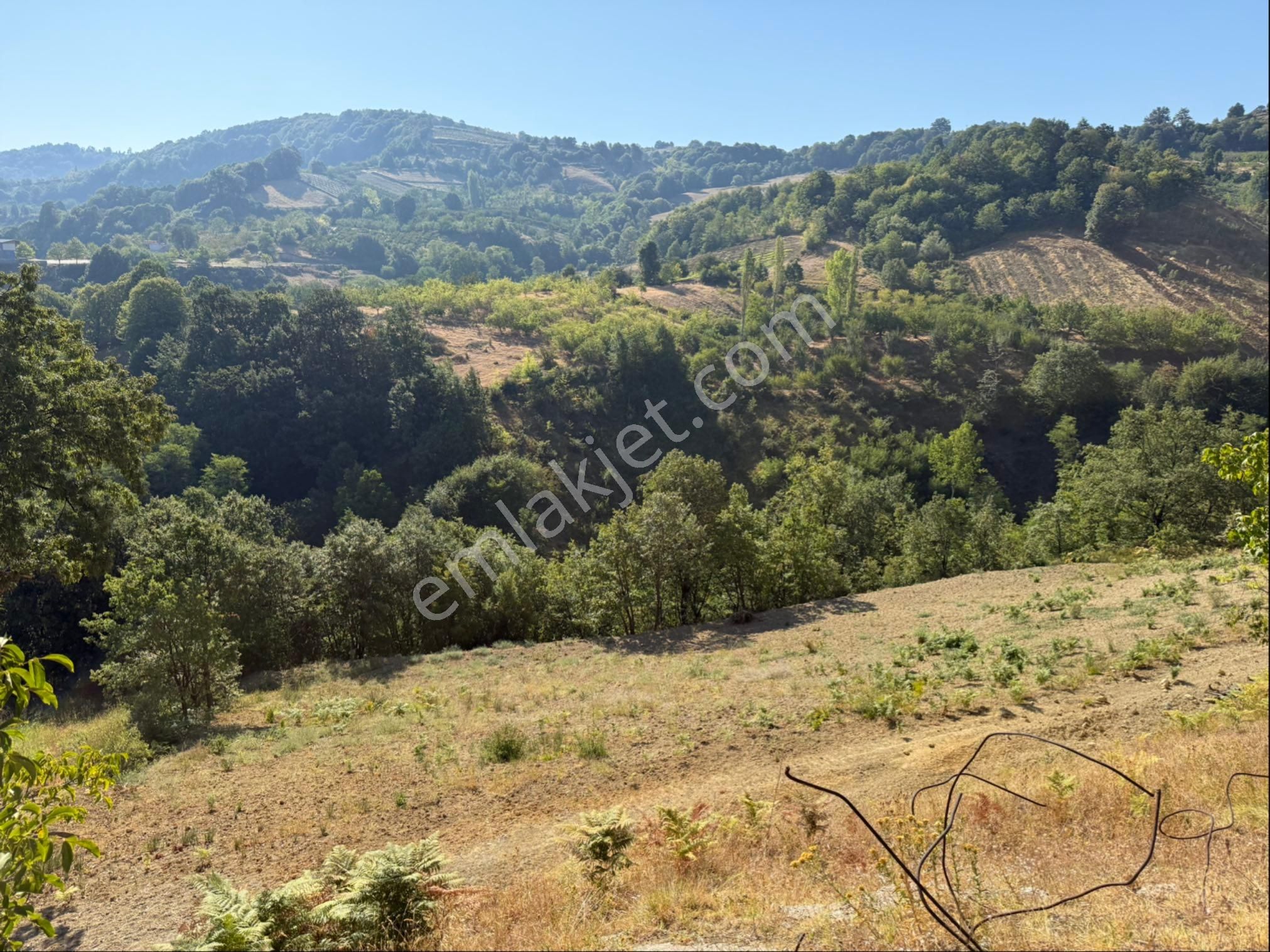 Roma' Dan Dipsizgöl’ De Satılık Tarla - Görsel 2