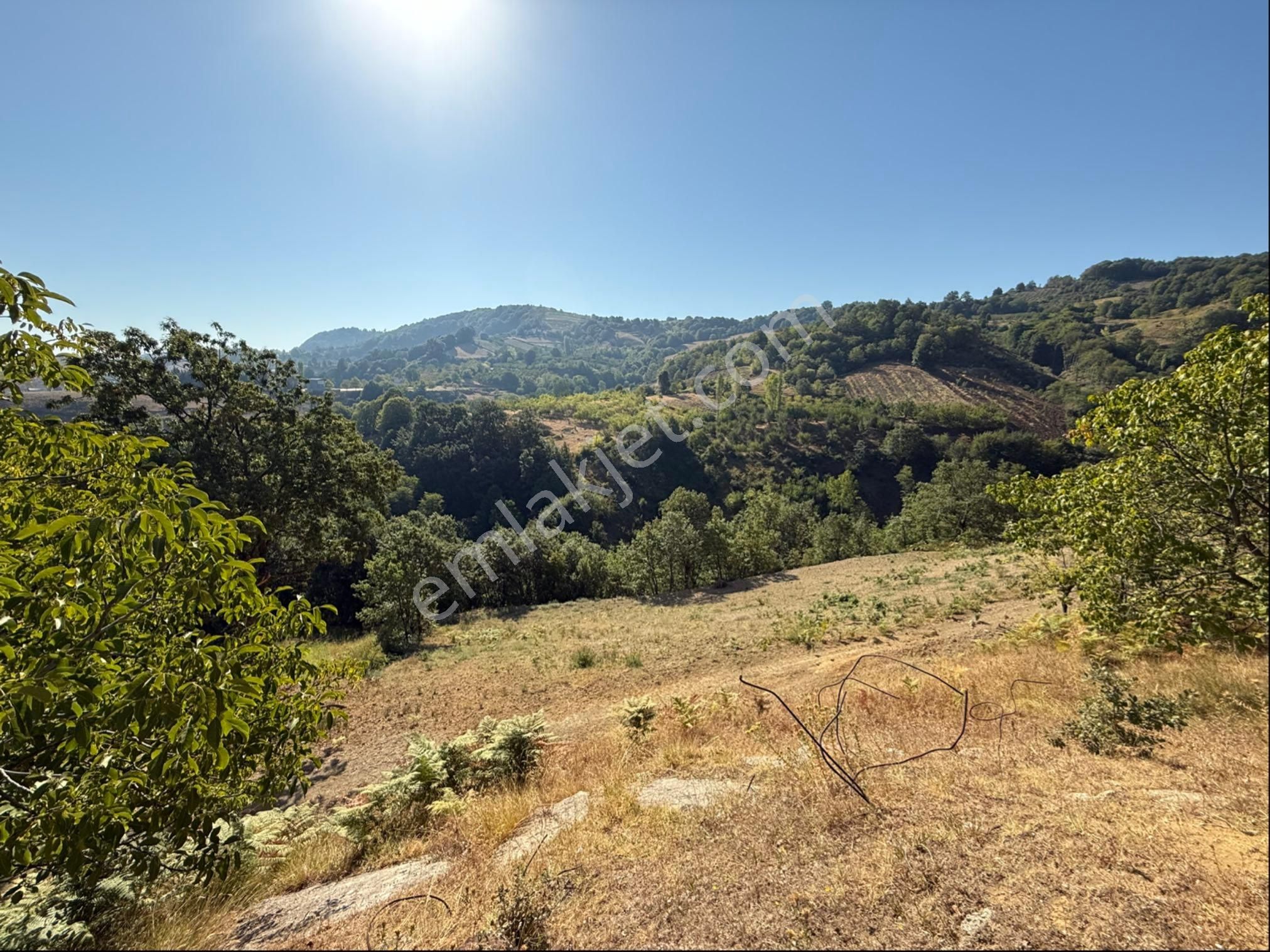 Roma' Dan Dipsizgöl’ De Satılık Tarla