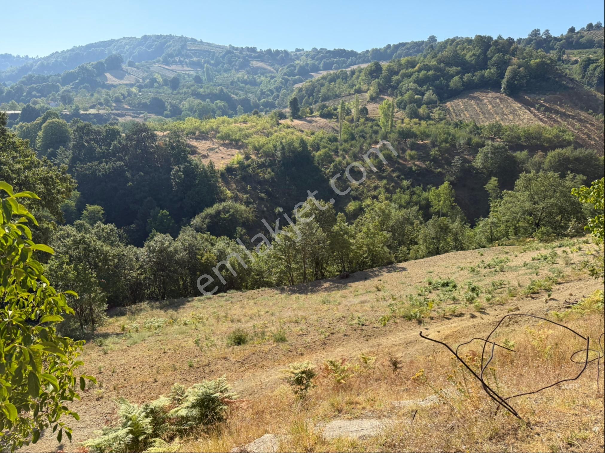 Roma' Dan Dipsizgöl’ De Satılık Tarla - Görsel 3
