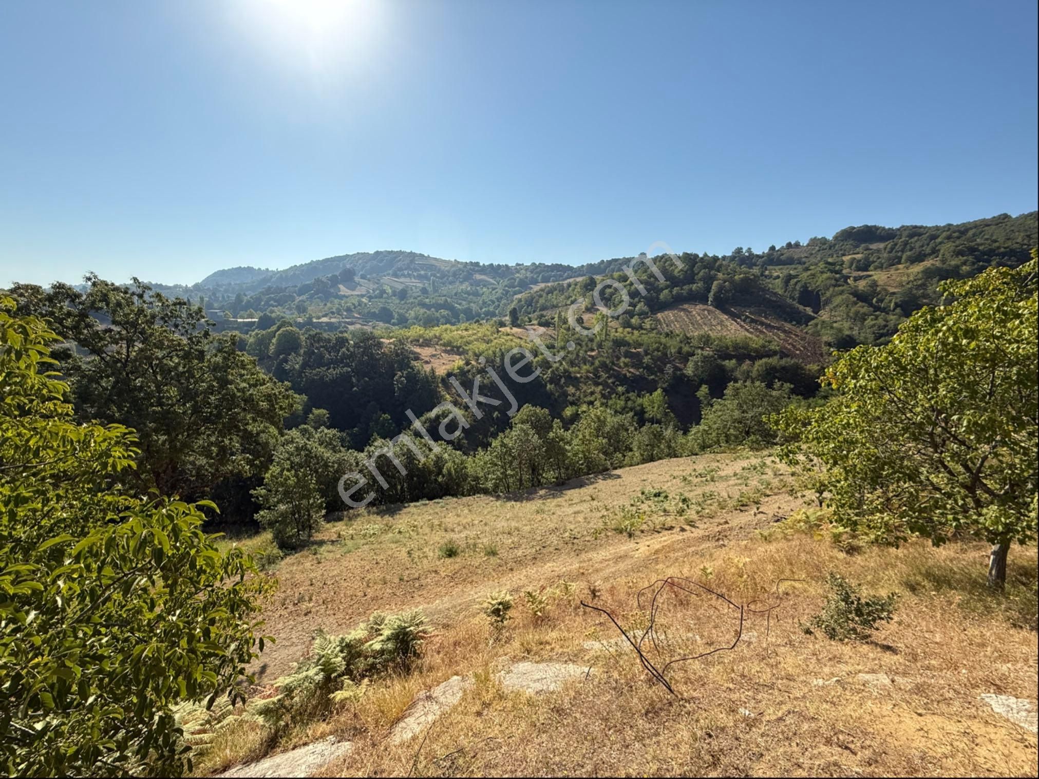 Roma' Dan Dipsizgöl’ De Satılık Tarla - Görsel 4