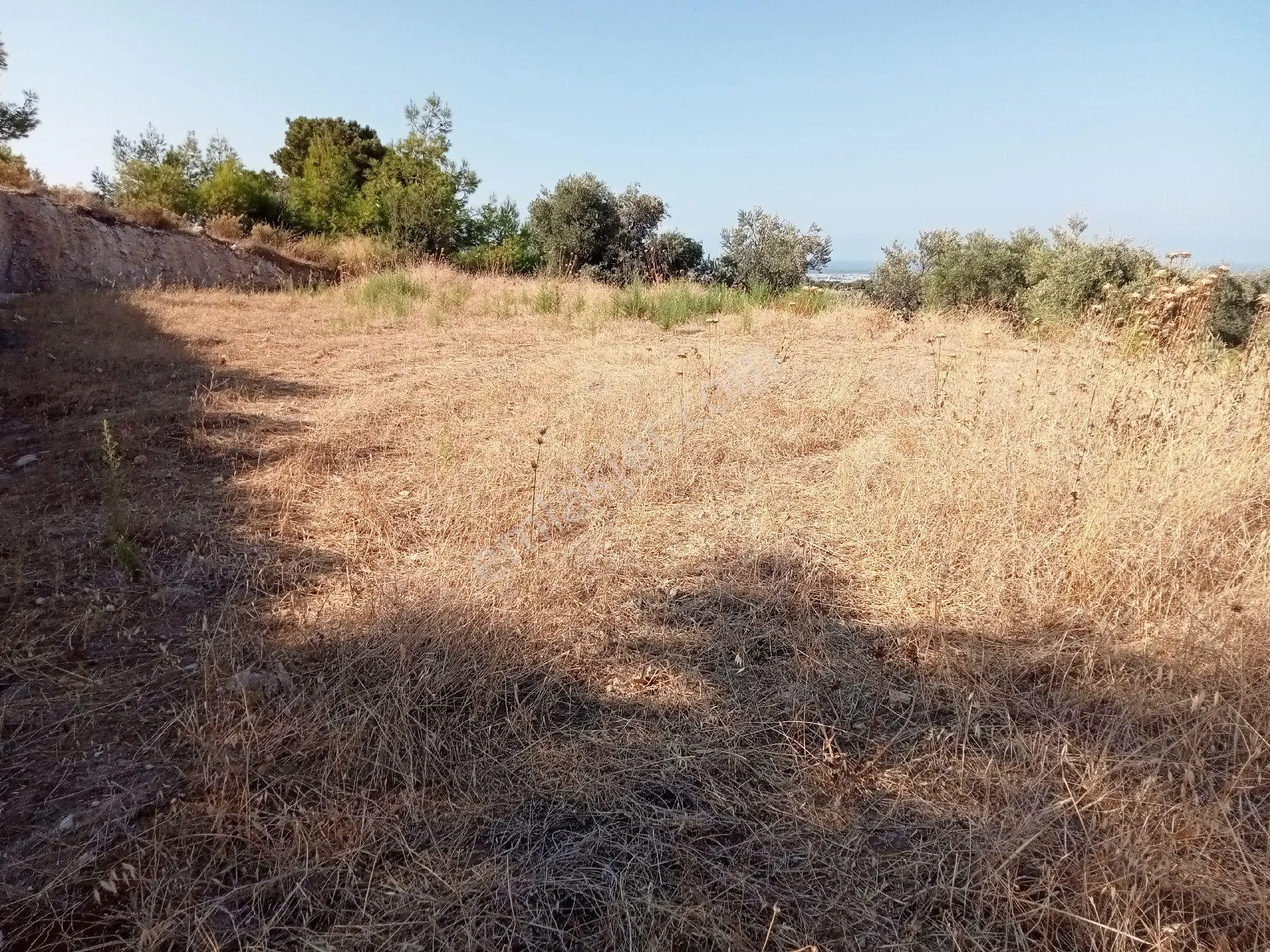 Falcon Dan Cavdir Da Fırsat 603m² Arsa - Görsel 12