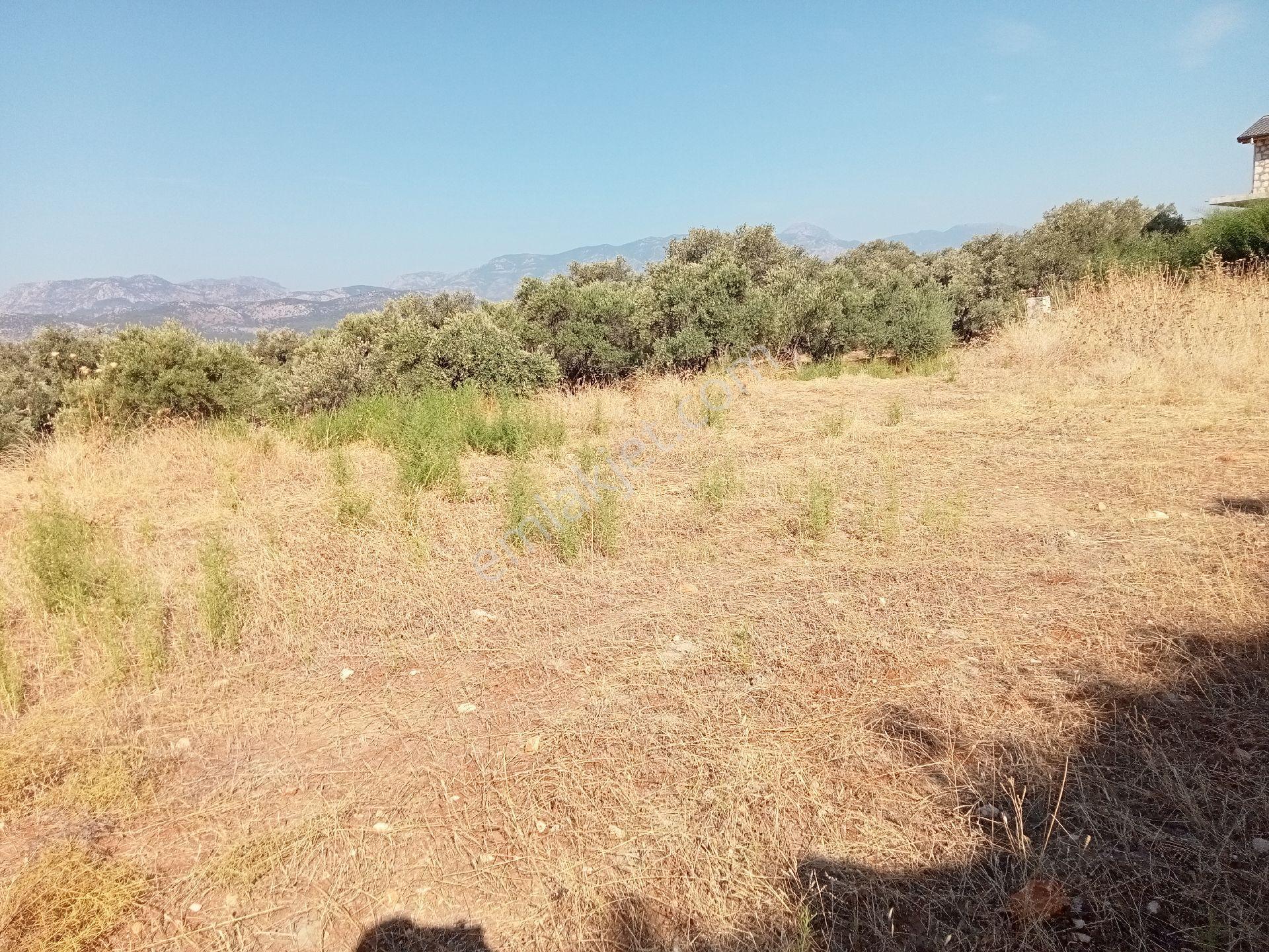 Falcon Dan Cavdir Da Fırsat 603m² Arsa - Görsel 8