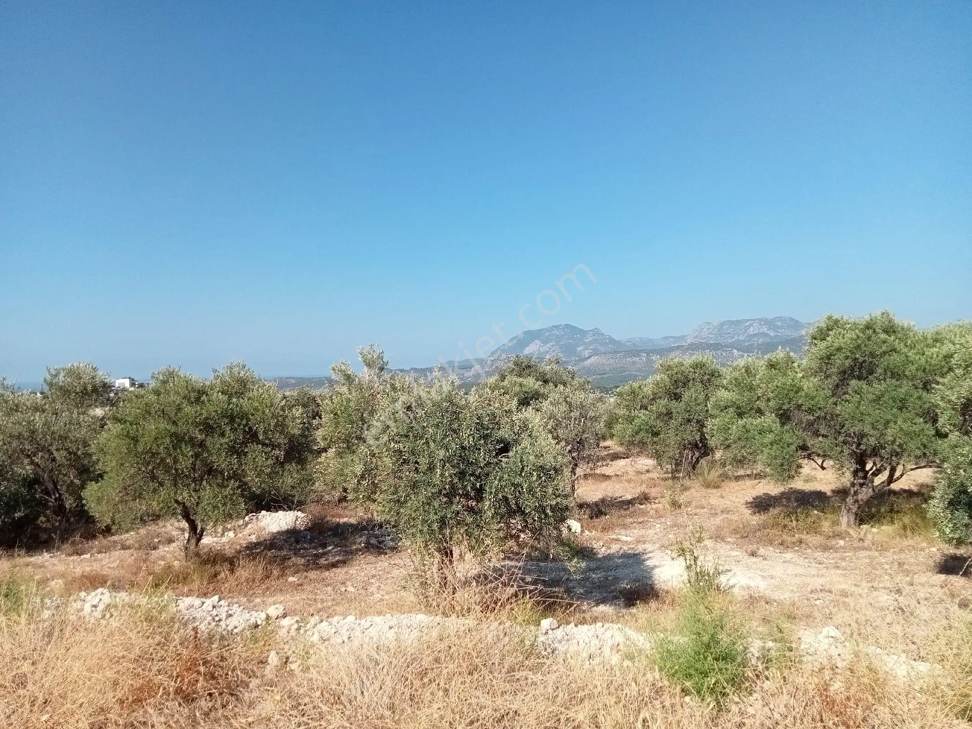 Falcon Dan Cavdir Da Fırsat 603m² Arsa - Görsel 6