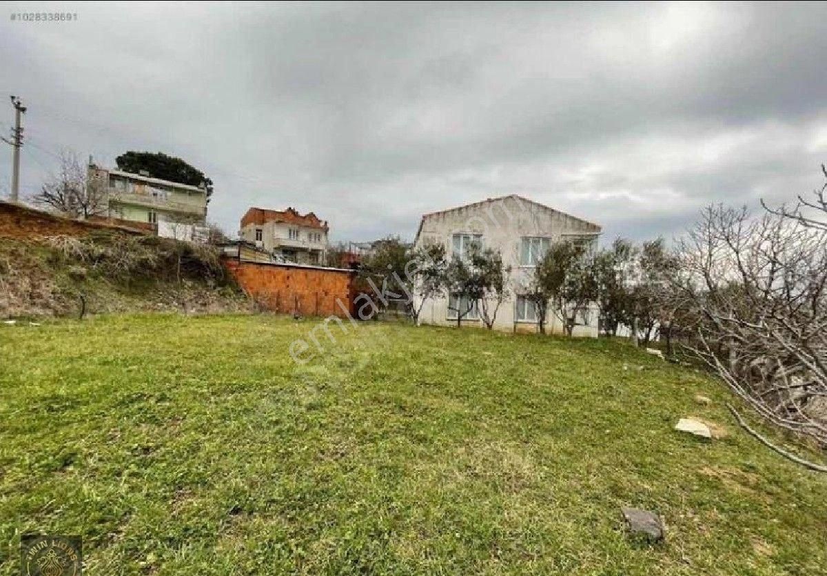 Çanakkale Bayramiç Kazdağları Merkezde!!!! - Görsel 3