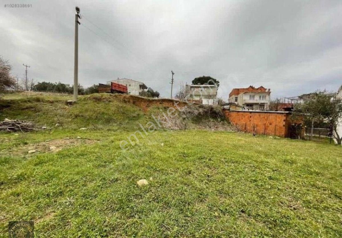 Çanakkale Bayramiç Kazdağları Merkezde!!!! - Görsel 5
