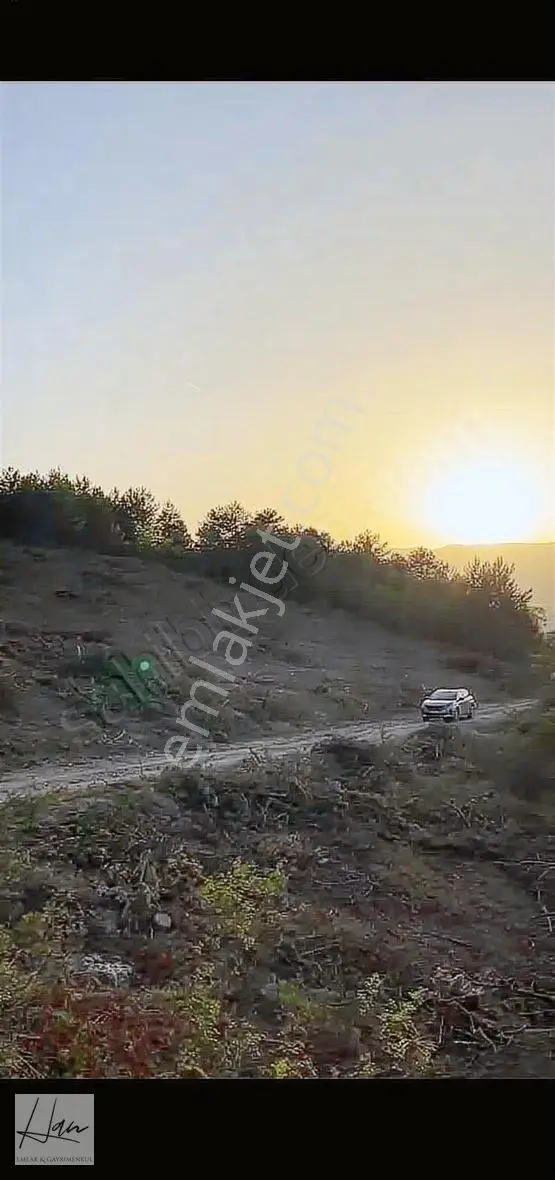 Mudurnu Yazılar Köyünde 3.125 M2 Resmi Yola Cephe Arazi. - Görsel 3