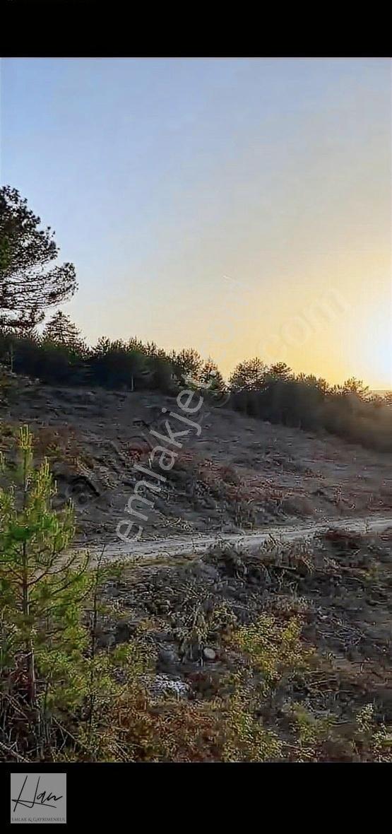 Mudurnu Yazılar Köyünde 3.125 M2 Resmi Yola Cephe Arazi. - Görsel 2