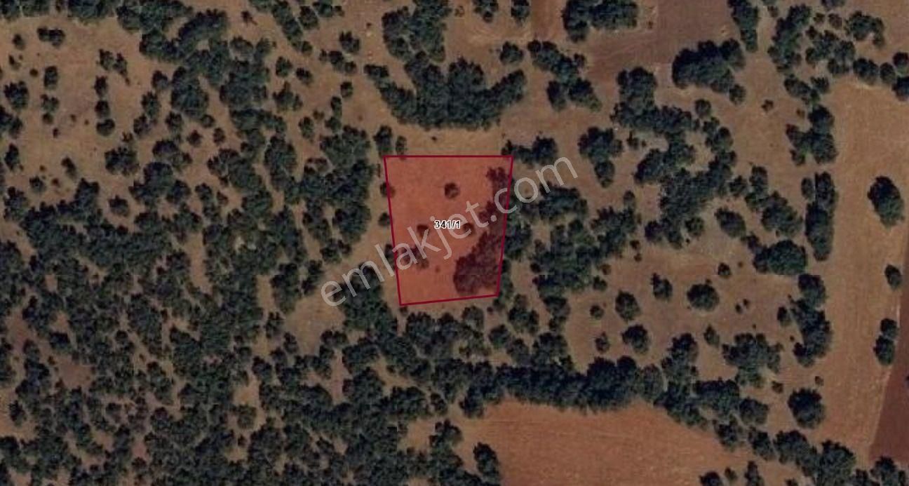 Konya / Meram / Kilistra Mahallesinde 1.823 M² Müstakil Tapulu Tarla - Görsel 9