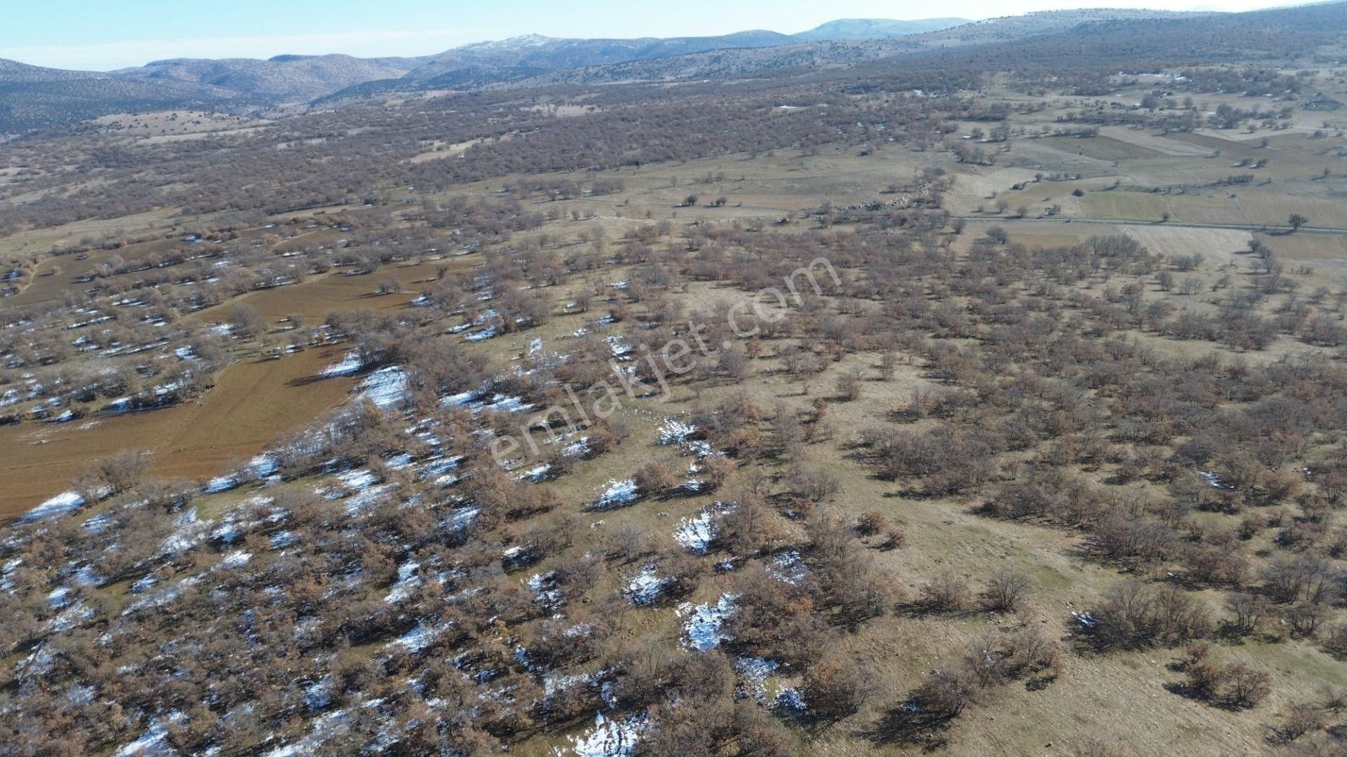 Konya / Meram / Kilistra Mahallesinde 1.823 M² Müstakil Tapulu Tarla - Görsel 14