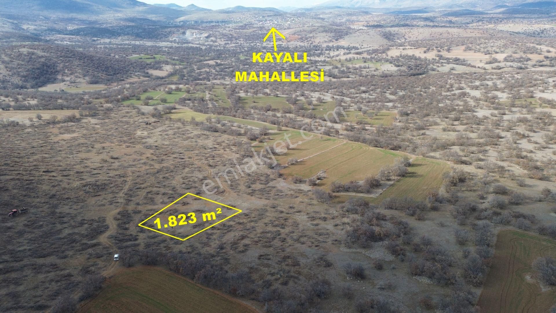 Konya / Meram / Kilistra Mahallesinde 1.823 M² Müstakil Tapulu Tarla
