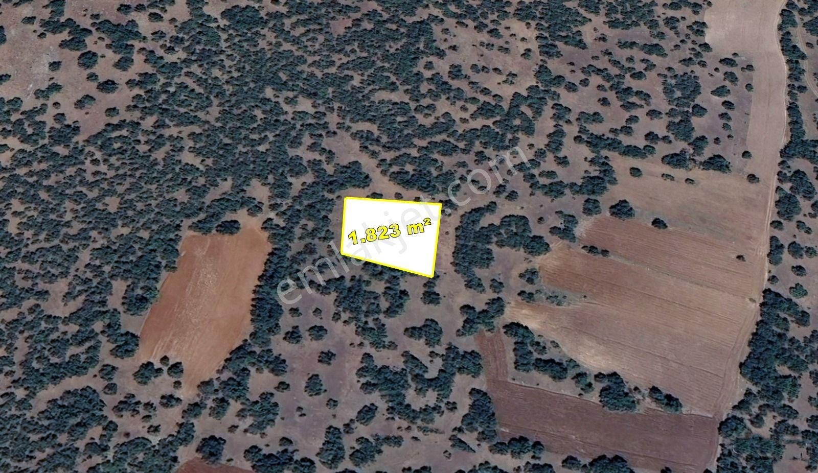 Konya / Meram / Kilistra Mahallesinde 1.823 M² Müstakil Tapulu Tarla - Görsel 6
