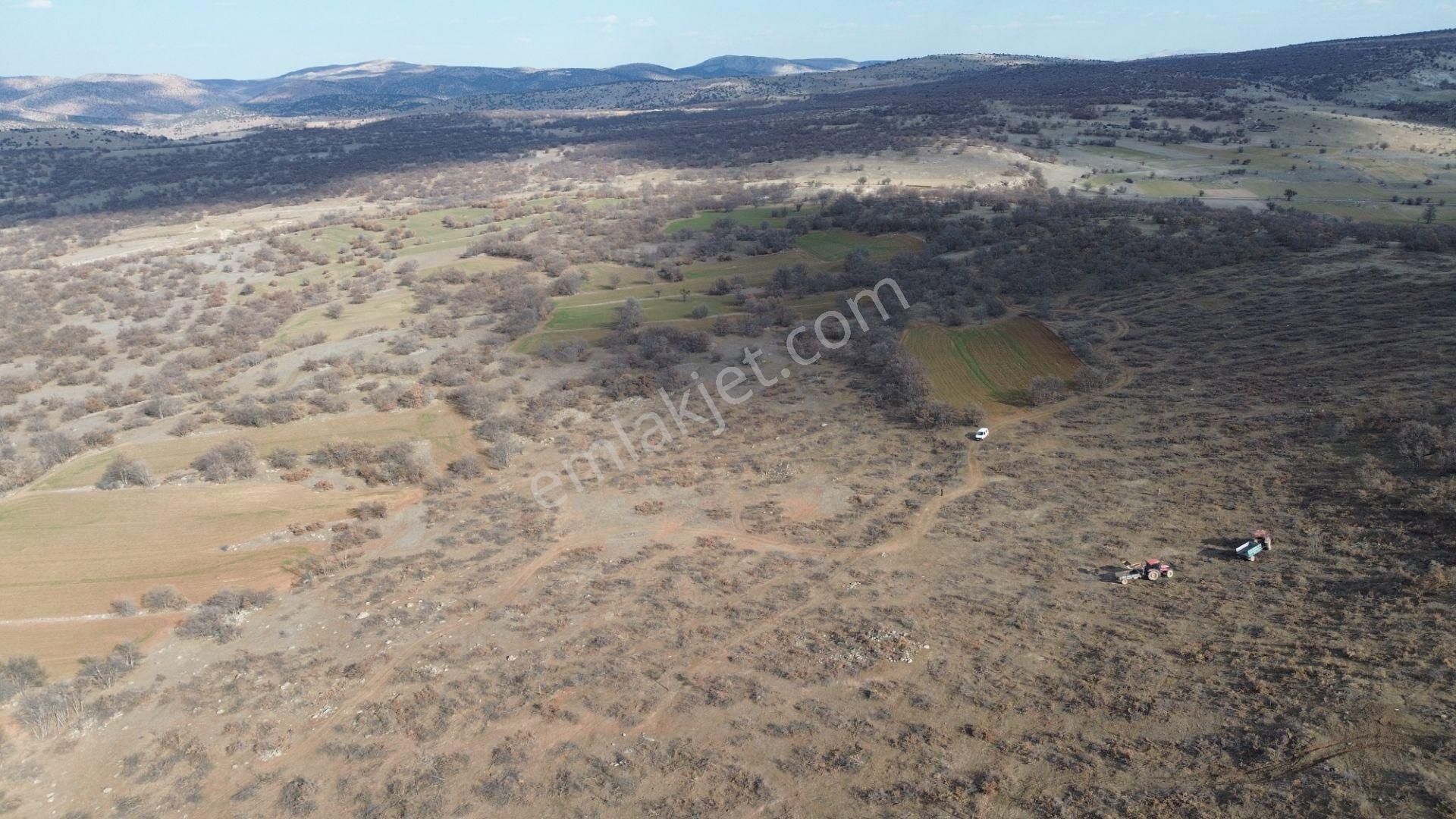 Konya / Meram / Kilistra Mahallesinde 1.823 M² Müstakil Tapulu Tarla - Görsel 3