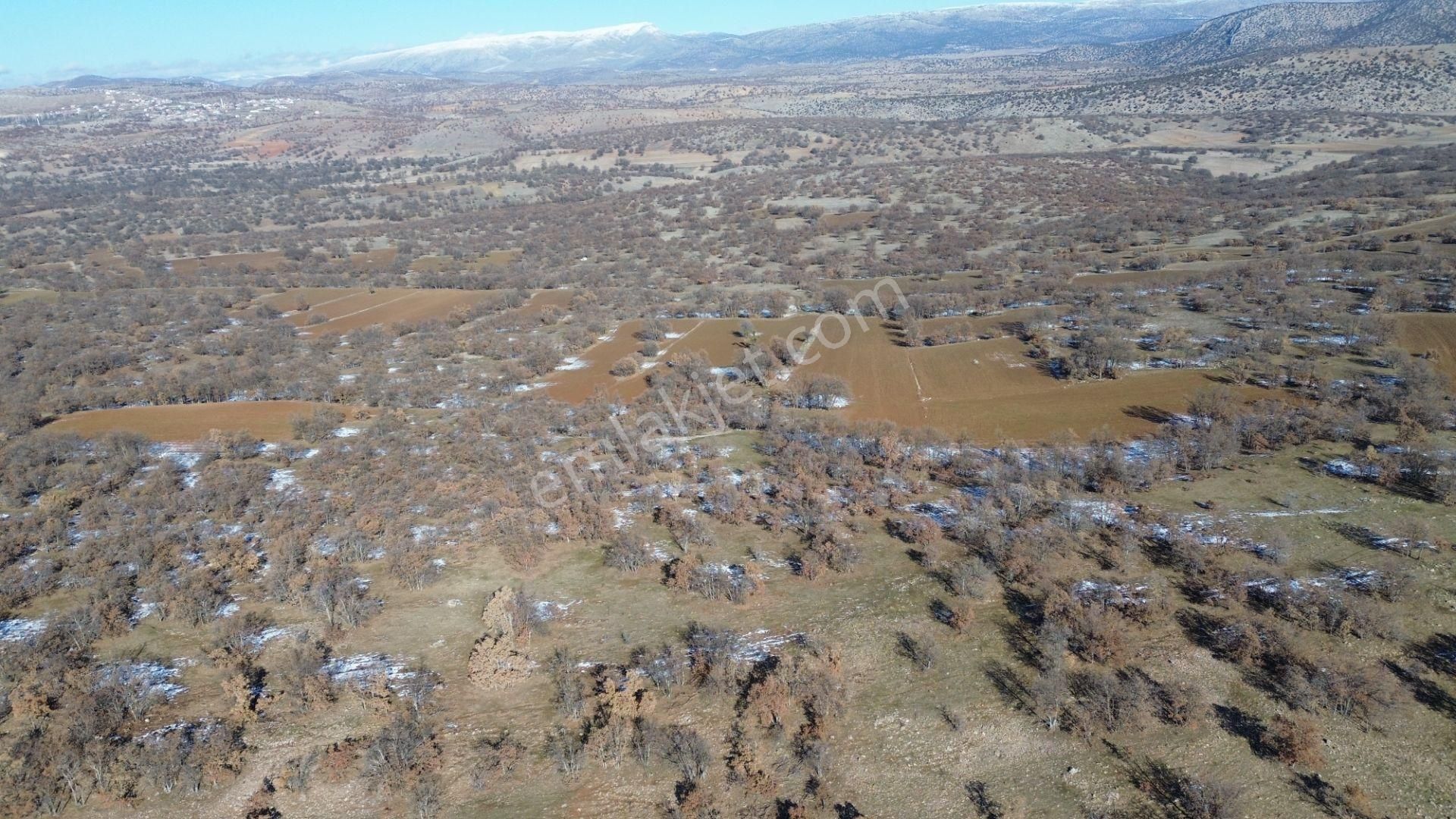 Konya / Meram / Kilistra Mahallesinde 1.823 M² Müstakil Tapulu Tarla - Görsel 18