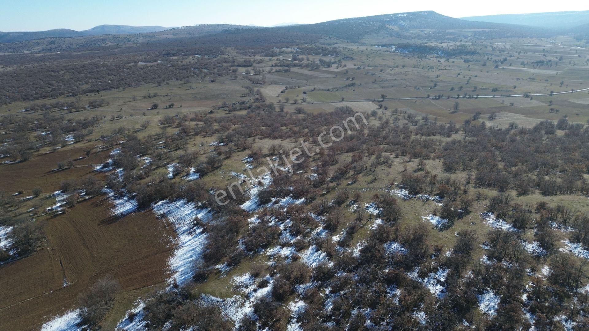 Konya / Meram / Kilistra Mahallesinde 1.823 M² Müstakil Tapulu Tarla - Görsel 12