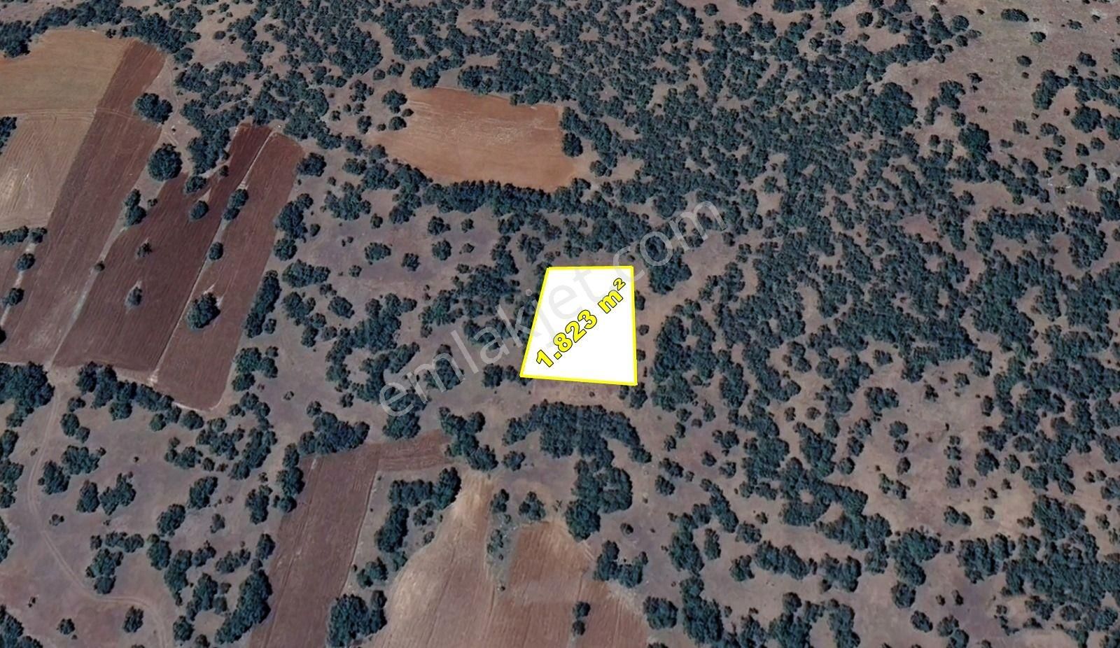 Konya / Meram / Kilistra Mahallesinde 1.823 M² Müstakil Tapulu Tarla - Görsel 7