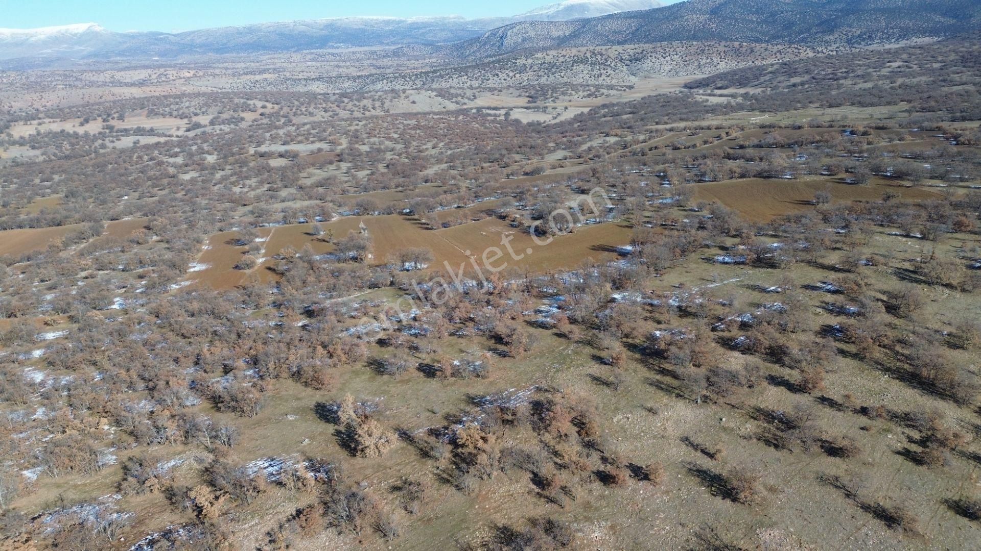 Konya / Meram / Kilistra Mahallesinde 1.823 M² Müstakil Tapulu Tarla - Görsel 17