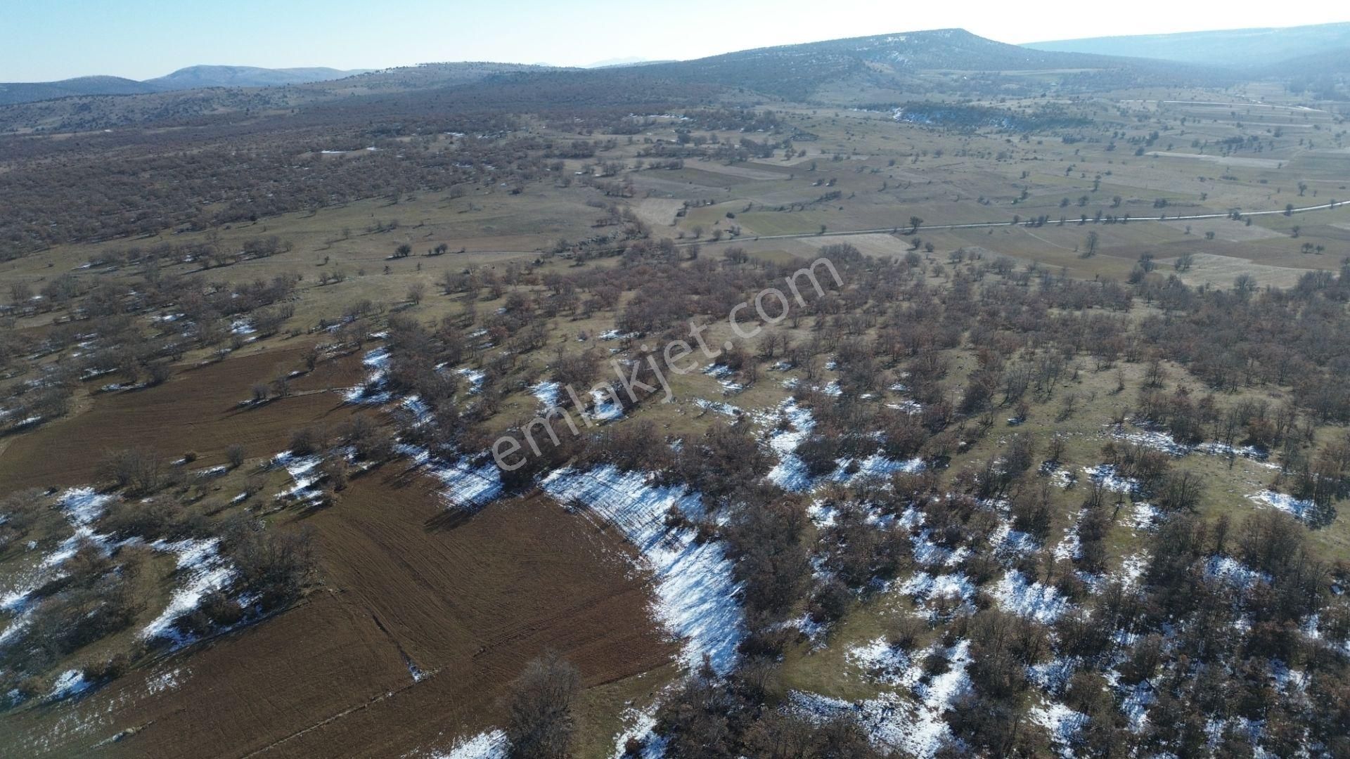 Konya / Meram / Kilistra Mahallesinde 1.823 M² Müstakil Tapulu Tarla - Görsel 11
