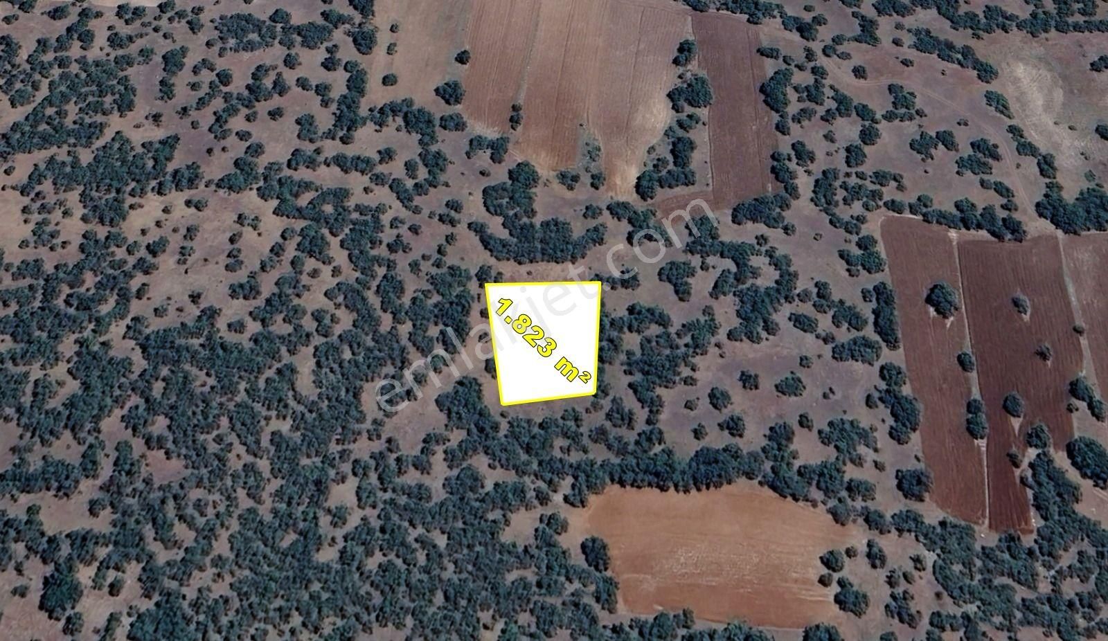 Konya / Meram / Kilistra Mahallesinde 1.823 M² Müstakil Tapulu Tarla - Görsel 5