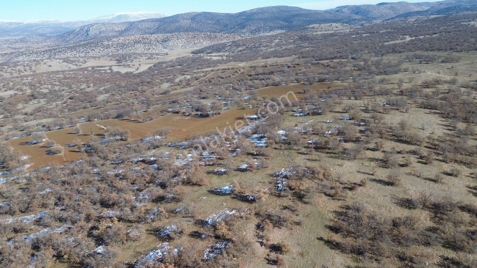 Konya / Meram / Kilistra Mahallesinde 1.823 M² Müstakil Tapulu Tarla - Görsel 16