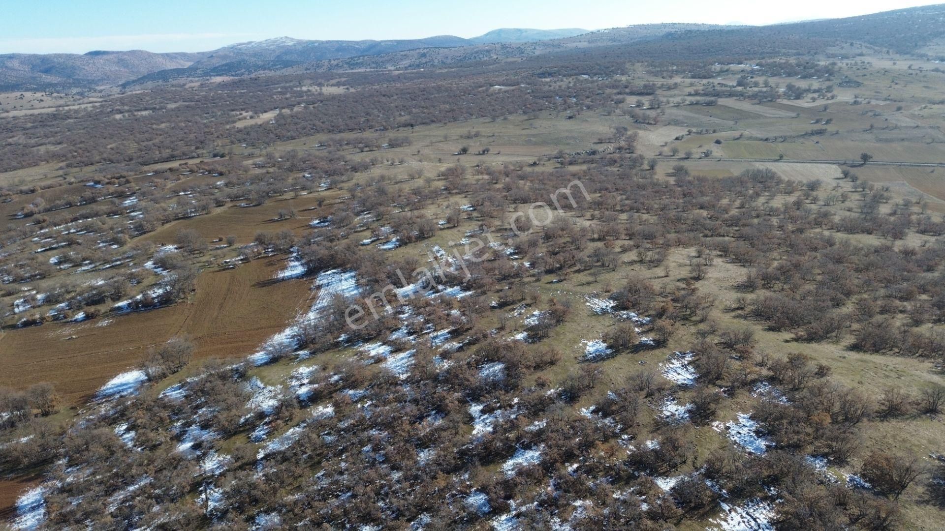 Konya / Meram / Kilistra Mahallesinde 1.823 M² Müstakil Tapulu Tarla - Görsel 13