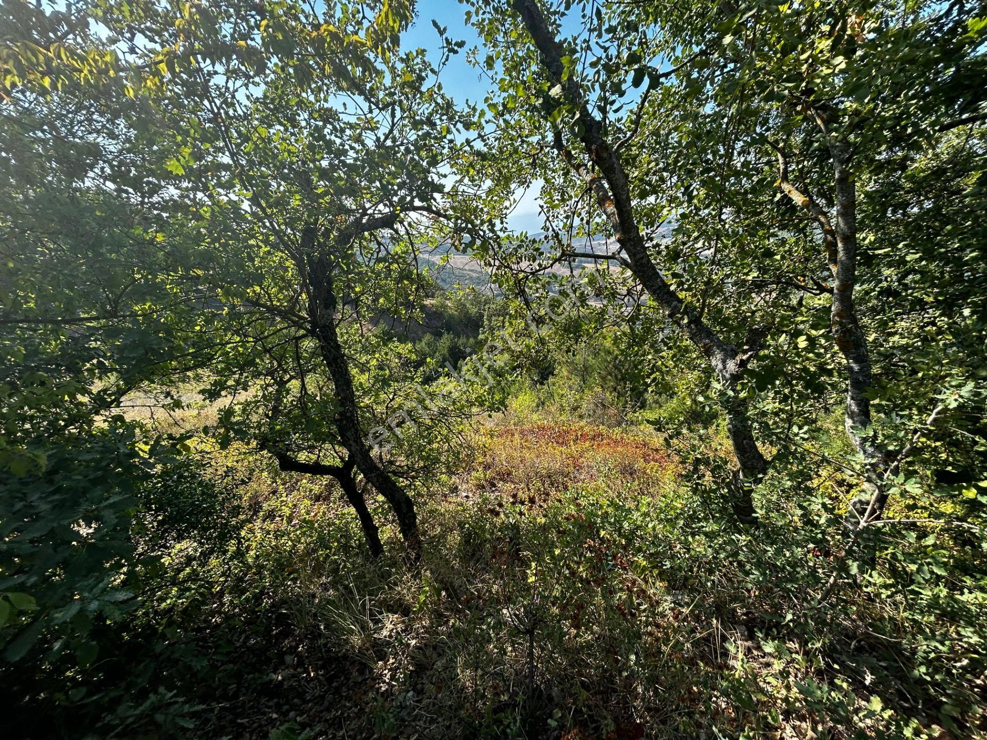 C21cius: Güvenli'de 6 Ayrı Satılık Müstakil Tapulu Araziler - Görsel 7