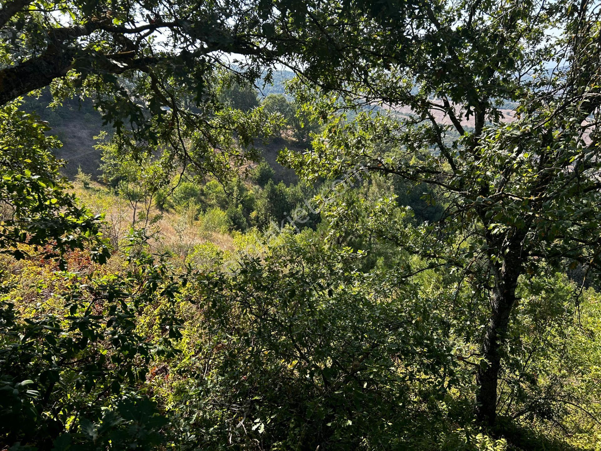 C21cius: Güvenli'de 6 Ayrı Satılık Müstakil Tapulu Araziler - Görsel 5