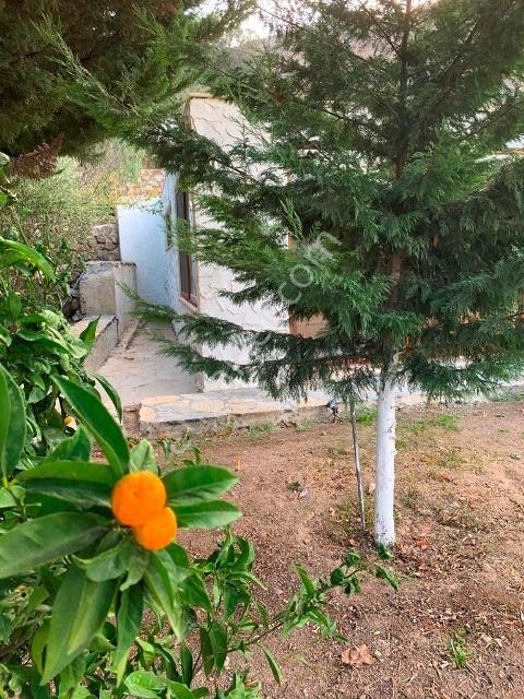 Bodrum-gürece - Eski İslamhaneleri, Tek Tapu 4 Müstakil Ev - Görsel 13