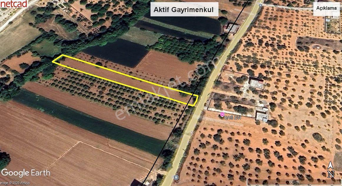 Aktif'den Asfalt Üzeri Bağ Evlik Arazi... - Görsel 6