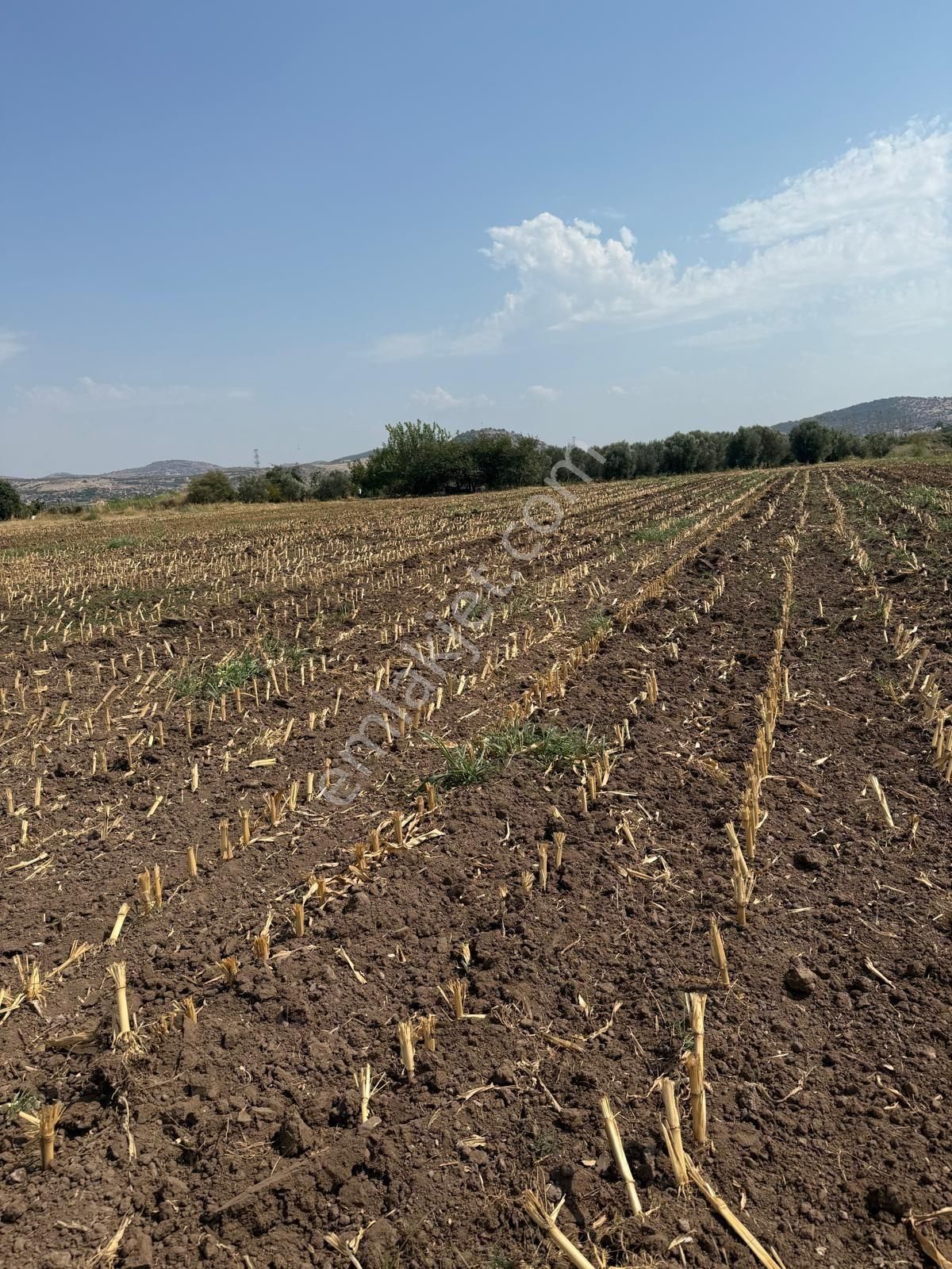 Saadet Korkmaz Emlak'tan Cumhuriyet'de İmara Komşu Satılık - Görsel 10