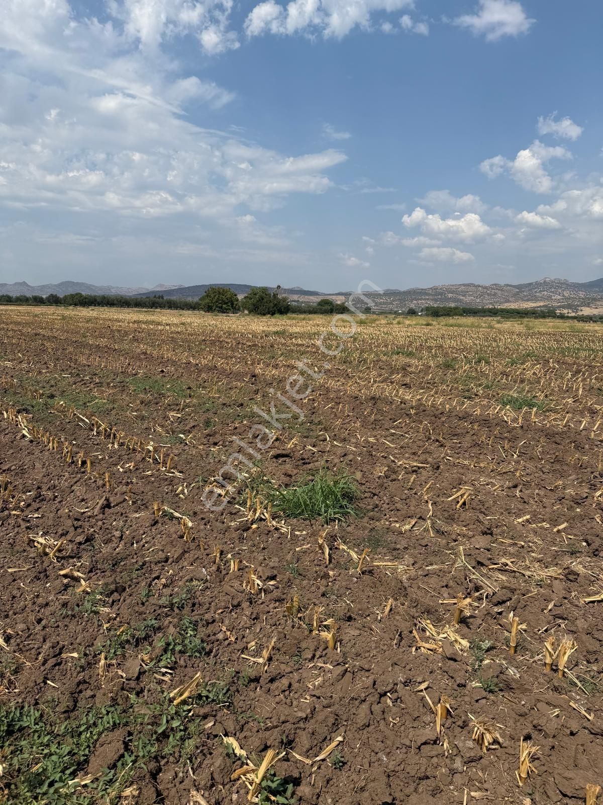 Saadet Korkmaz Emlak'tan Cumhuriyet'de İmara Komşu Satılık - Görsel 15