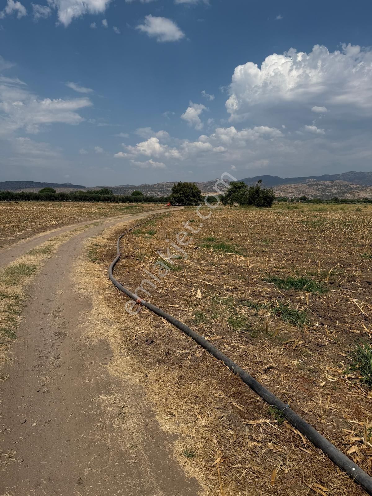 Saadet Korkmaz Emlak'tan Cumhuriyet'de İmara Komşu Satılık - Görsel 4