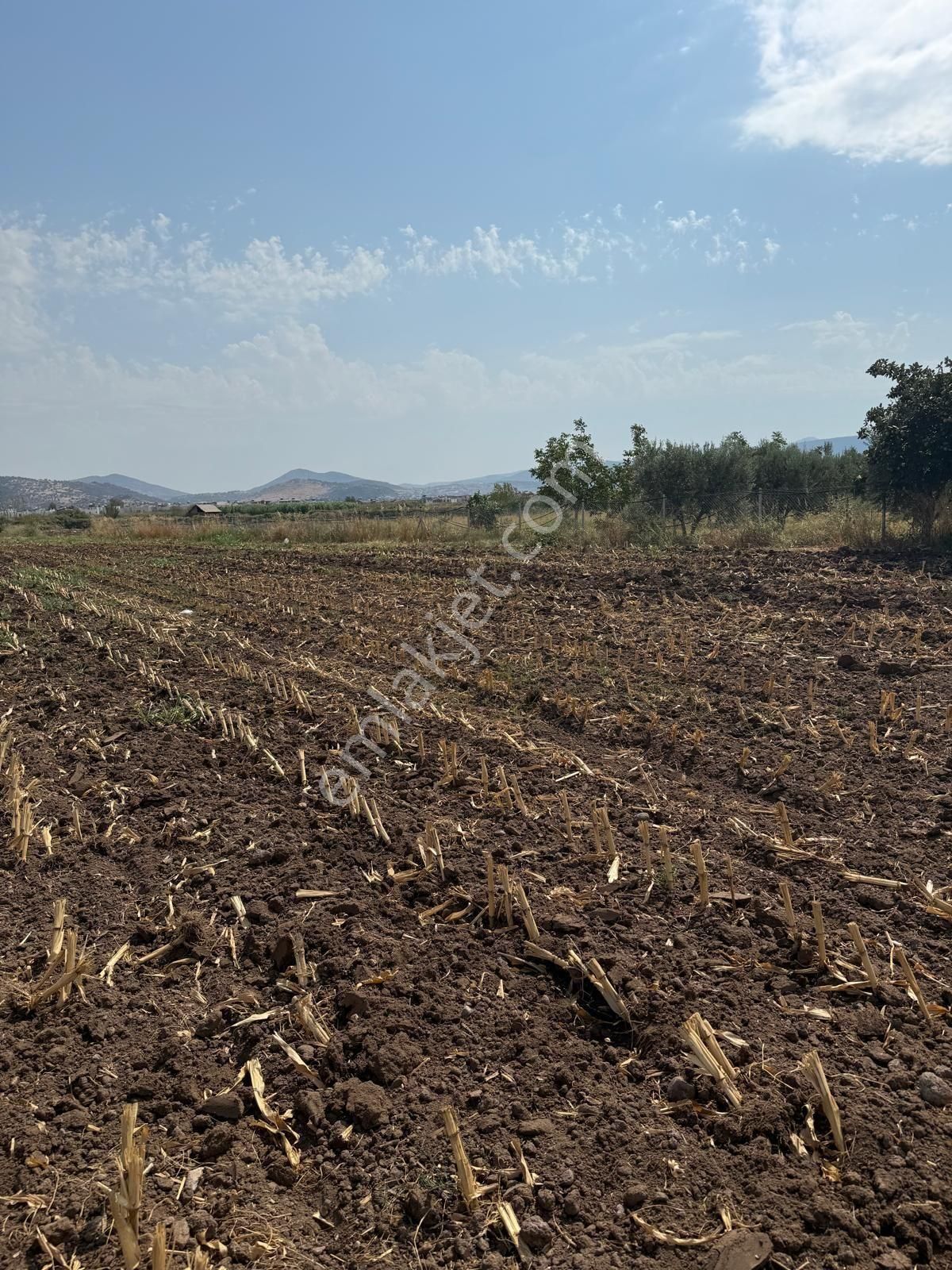 Saadet Korkmaz Emlak'tan Cumhuriyet'de İmara Komşu Satılık - Görsel 23