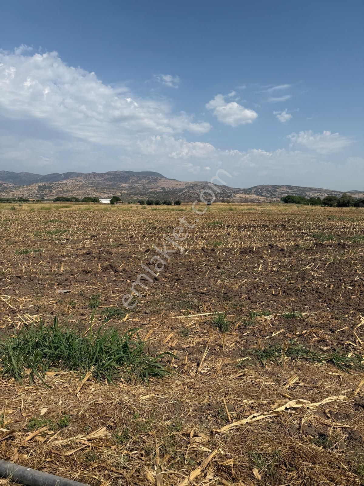 Saadet Korkmaz Emlak'tan Cumhuriyet'de İmara Komşu Satılık