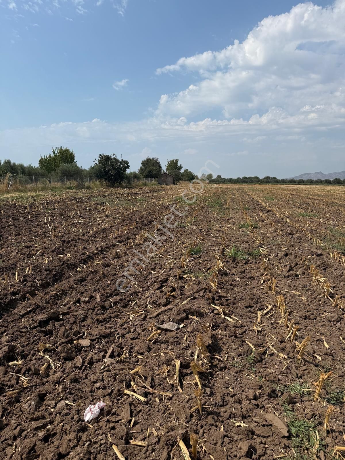 Saadet Korkmaz Emlak'tan Cumhuriyet'de İmara Komşu Satılık - Görsel 16