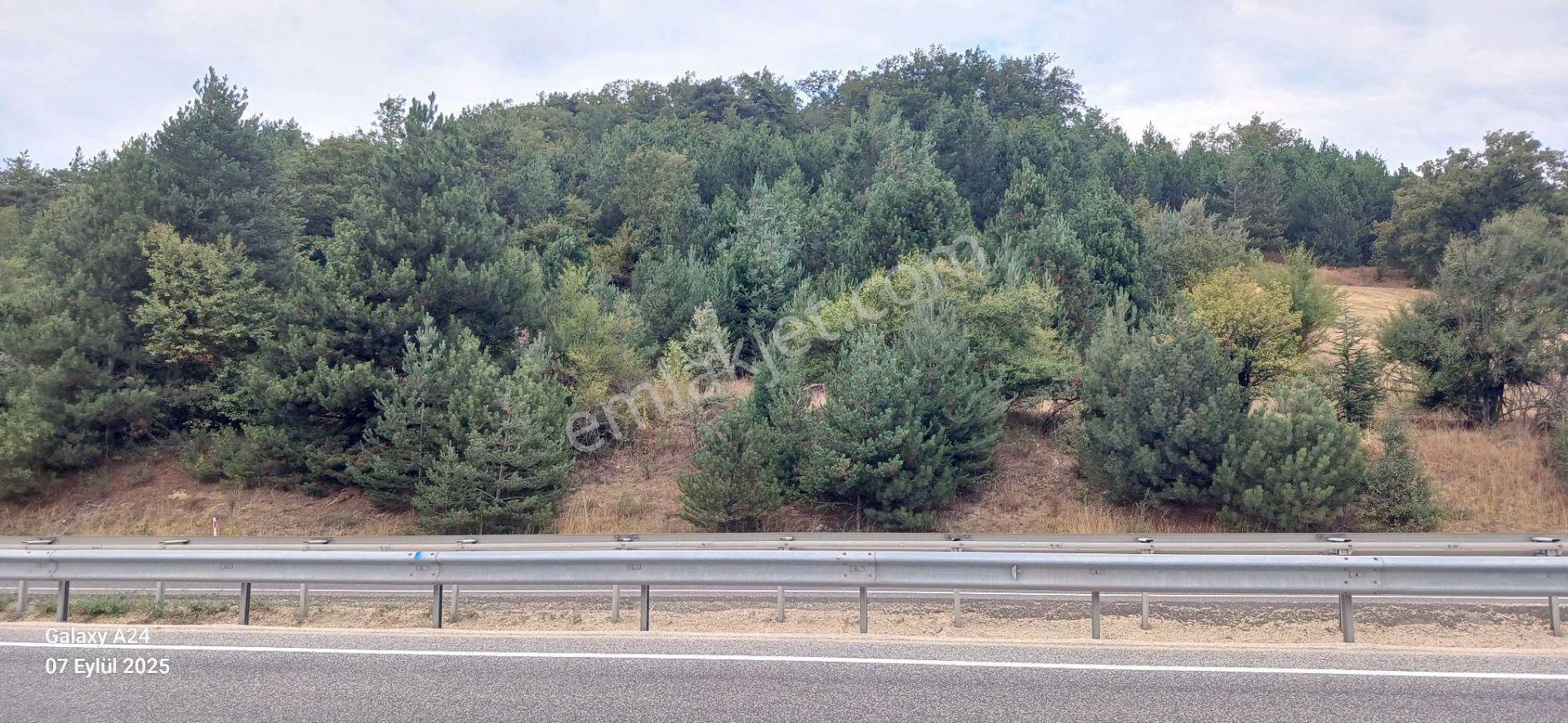 Bilecik Bozüyük Delielmacık Köyü Satılık Tarla - Görsel 3